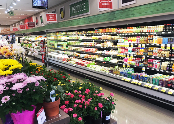 Foodland refrigerator section of store.