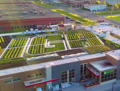 Ariel view of an IGA rooftop garden