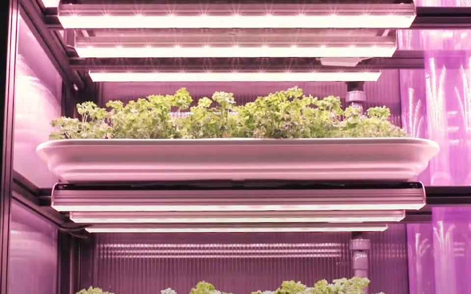 Lien de la vidéo sur Infarm.