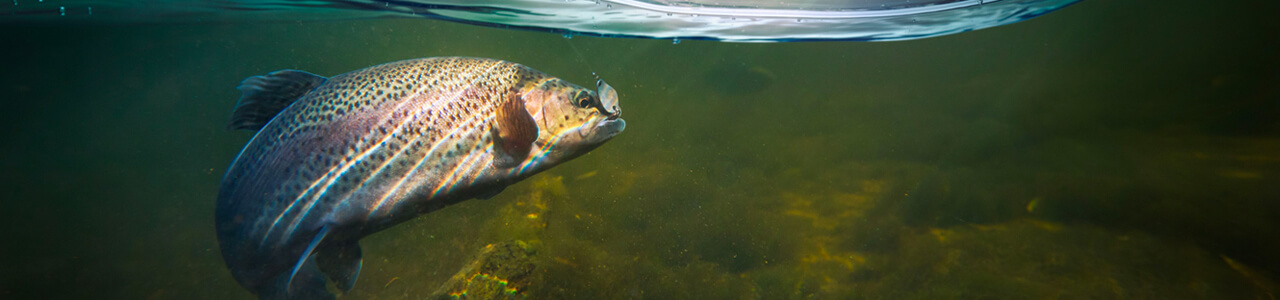 responsible_sourcing