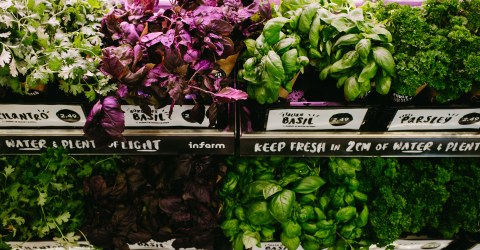 A variety of fresh herbs, including cilantro, purple basil, green basil, and parsley, are displayed side by side in a store.