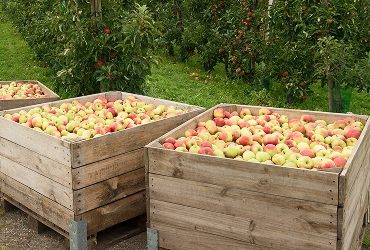 Strategic partnerships