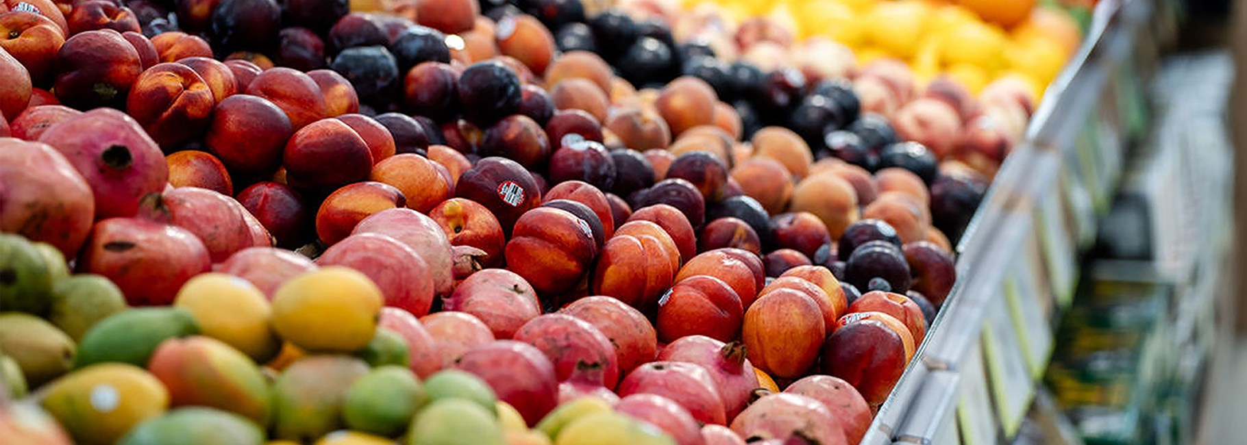 Empire Company Limited and Sobeys Inc. 2025 Sustainable Business Report